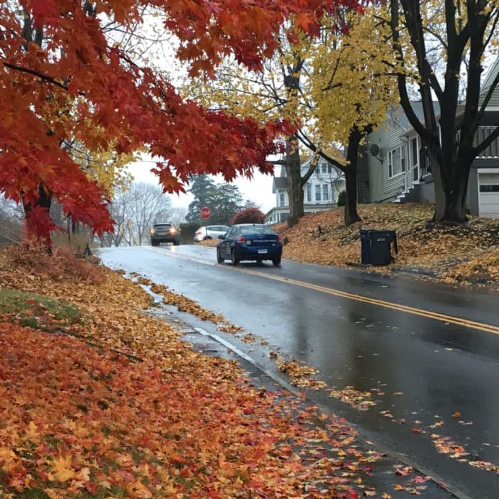 The late-November rain is pulling down the last of the fall leaves across Fairfield County.