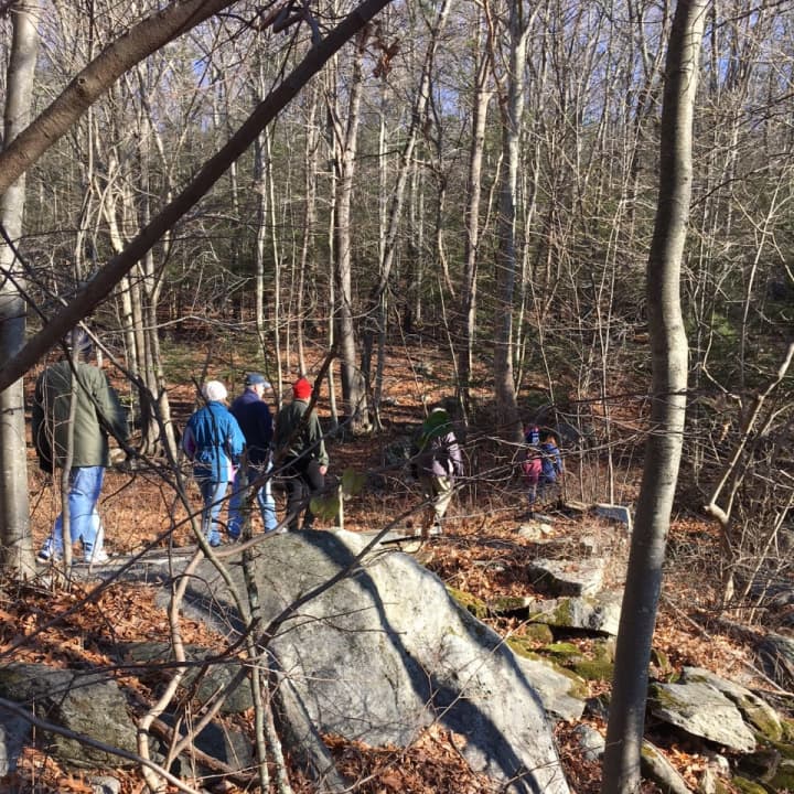 Hikers enjoy a walk in the woods on New Year&#x27;s Day at Osbornedale State Park in Derby.