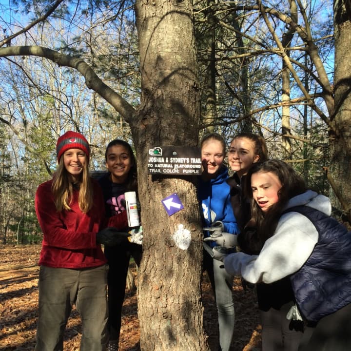 Westport Girl Scouts recently completed a community service project at Aspetuck Land Trust&#x27;s Leonard Schine Preserve.