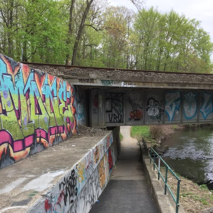Graffiti on the Bronx River Parkway.