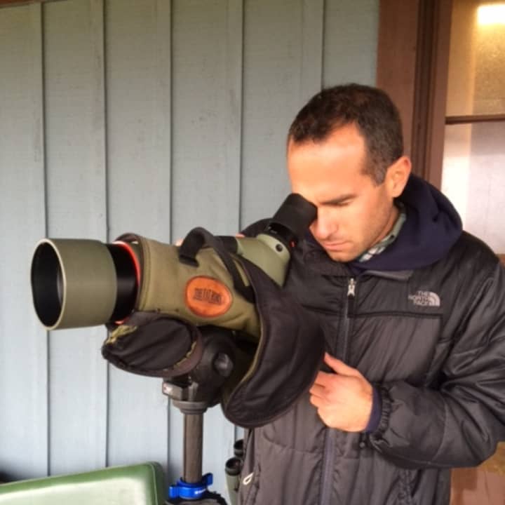 Nick Bonomo of Walllingford scans the sky for birds at Stratford Point.