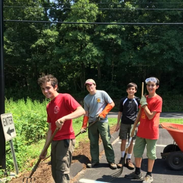 Joe Schiro and volunteers cleared out invasive vines in the Witherell parking lot.