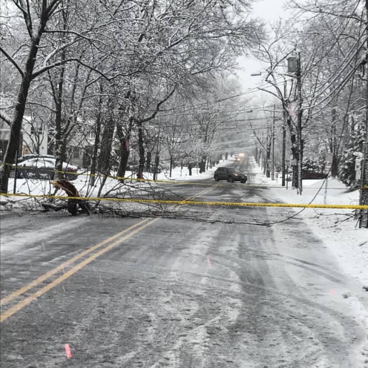 Downed trees and power lines occurred throughout the area.