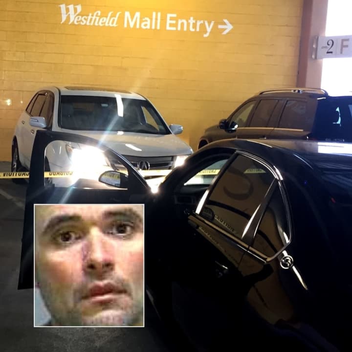 Frank Saggese was behind the wheel of the second car -- a stolen Acura -- when Paramus police rolled up on it at the Garden State Plaza, authorities said.