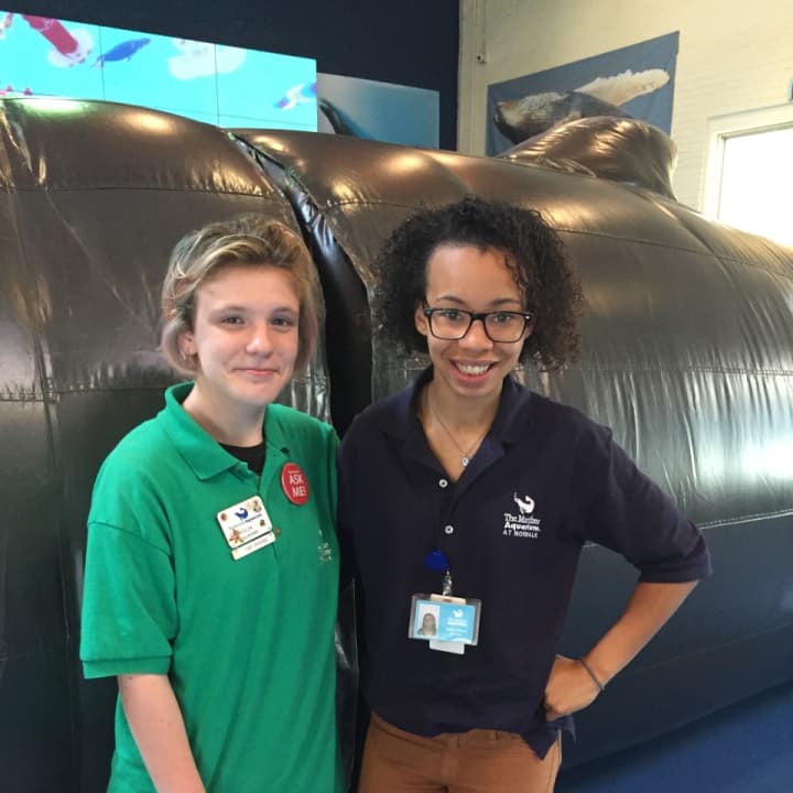 Two staffers at Maritime Aquarium pose in front of the aquarium&#x27;s new inflatable whale.
