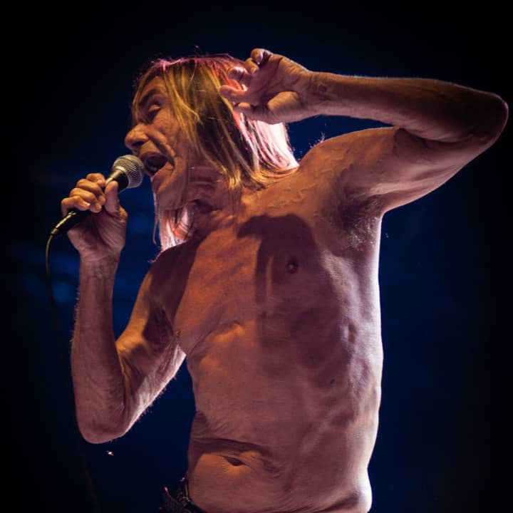 Iggy Pop will take the stage at the Capitol Theatre April 14.