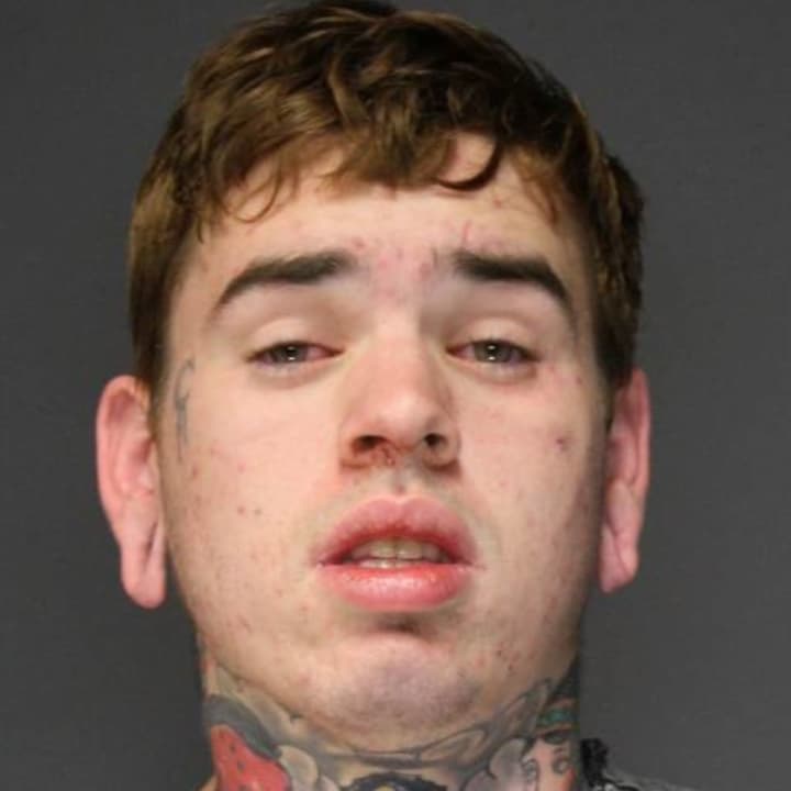 James Watters of Tappan is being held at the Rockland County Jail after he was accused of stealing a woman&#x27;s purse in a Nyack restaurant and bar.