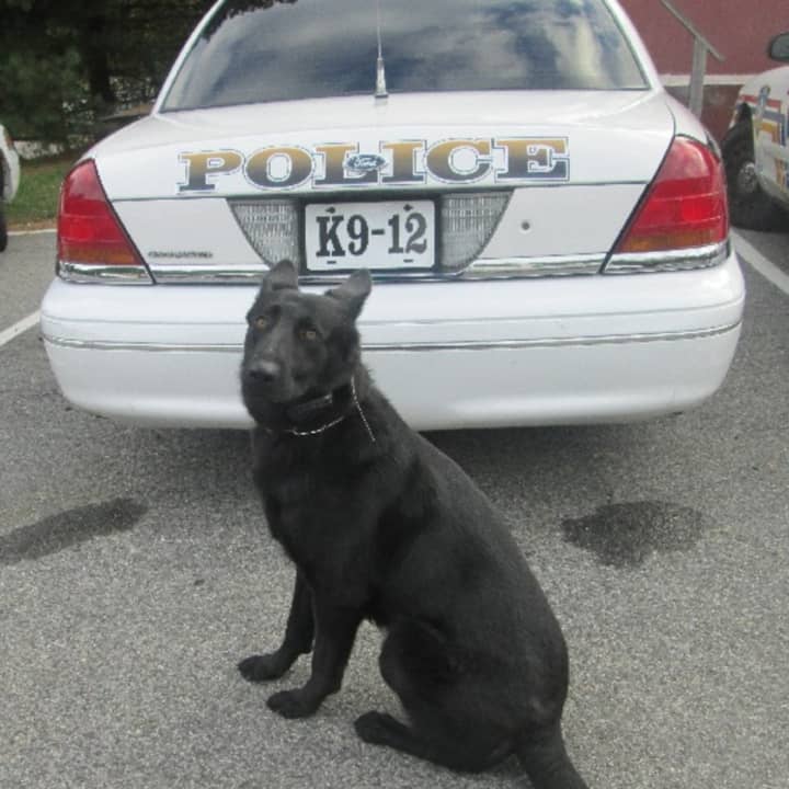 Harrison Police Department’s K9 Axel will receive a bullet and stab protective vest thanks to an anonymous donor. 