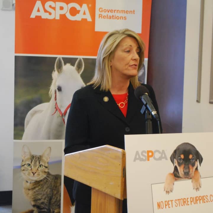 State Rep. Brenda Kupchick of Fairfield introduced legislation that would tighten restrictions on animal shelters in Connecticut.