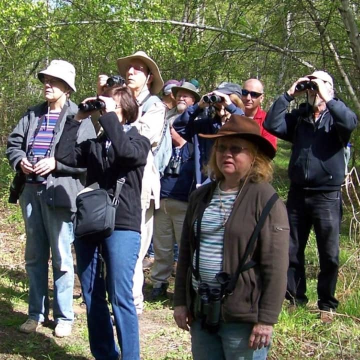 On a recent bird-watching tour at Losen Slote Creek Park.