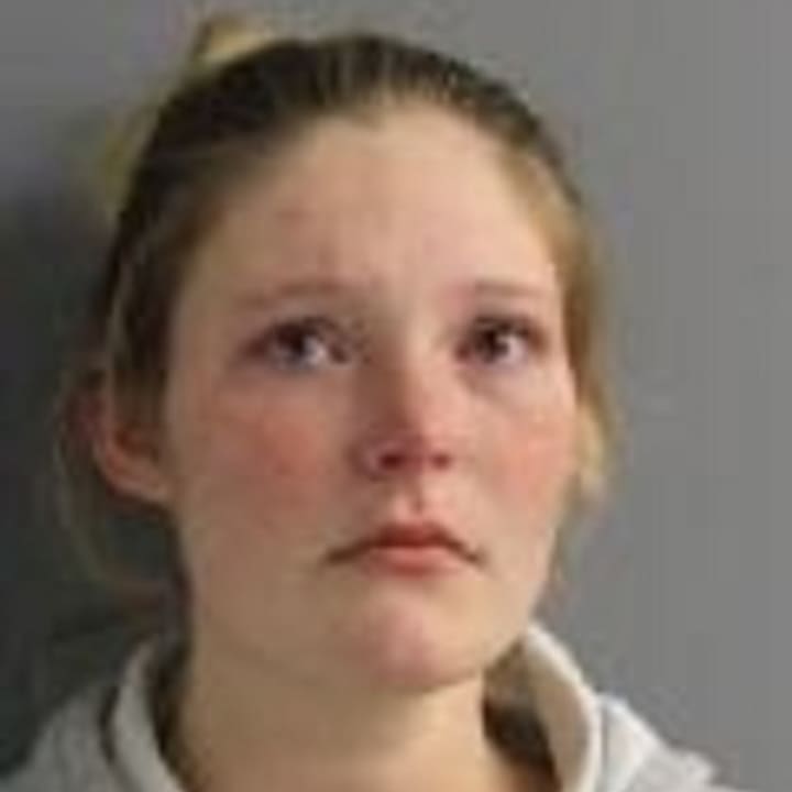 Madison L. Marshall, 25, of Millerton, N.Y., faces felony charges in connection with the theft of checks from an Amenia business, police say.