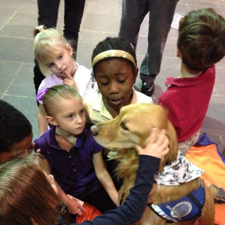 Maggie the Comfort Dog serenely accept a few caresses from students at The Chapel School in Bronxville. A Chapel School team will participate in the New York Marathon to raise money for scholarships.
