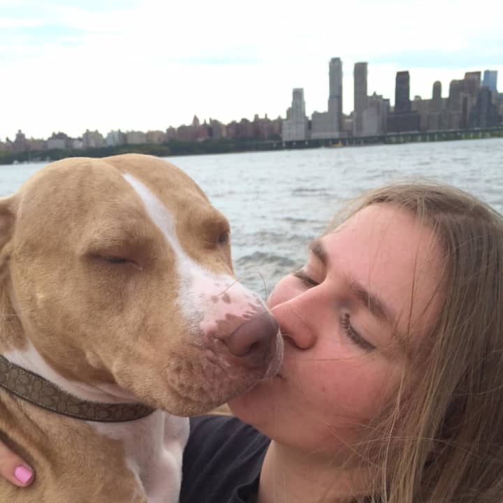 Lead volunteer Diana Kurz shows off Scarlet, who is looking for a forever home.