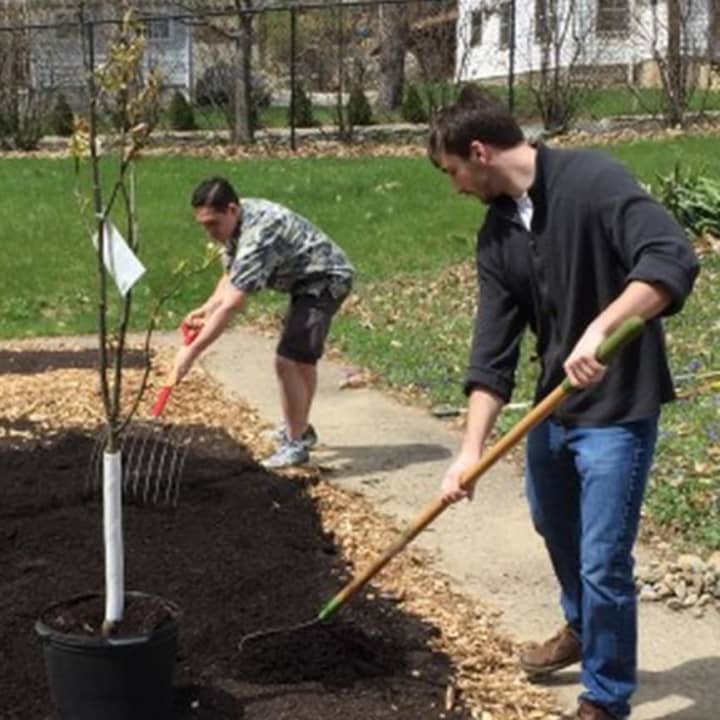 Students spread mulch at the permaculture garden in spring at Western Connecticut State University in Danbury, 