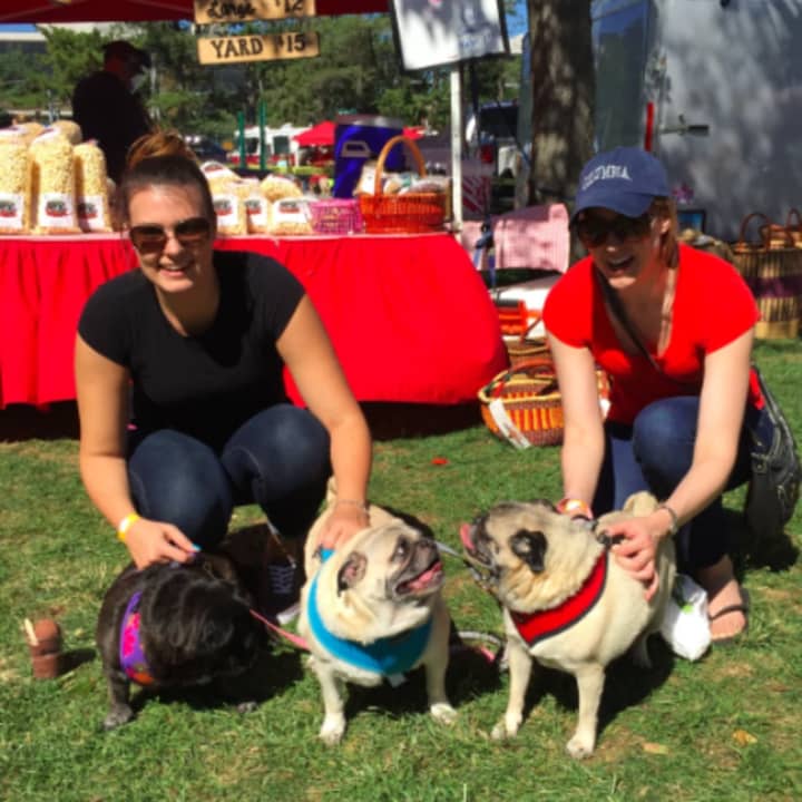 Sisters, Cloe Czepiel, left, and Liz Czepiel, pose with the three Pug dogs. The dogs from left are Millie, 8, Yogi, 4 1/2, and Omie, 8. They were at Adopt-A-Dog&#x27;s &quot;Puttin&#x27; On The Dog&quot; Sunday in Greenwich.