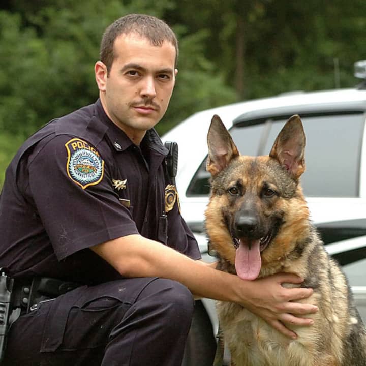 Wilton Police K-9 Enzo with his handler, Officer Steven Rangel. Both took part in Friday&#x27;s search of Wilton High School. 