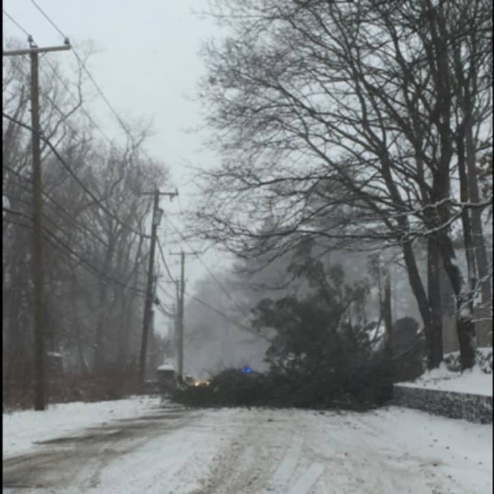 Greenwich Police closed North Street near Greenwich Country Day School in both directions due to a downed tree.