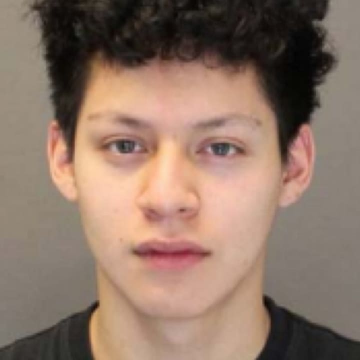Spring Valley teen Christopher Bermeo was sentenced to probation and six months of weekends in jail after being convicted of stabbing a teenager and beating another.