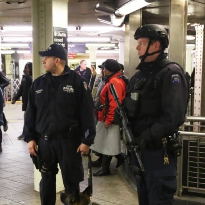 NYPD officers and a patrol dog amid heightened security.