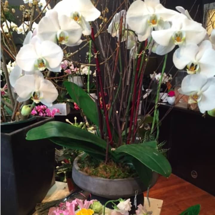 Green Wood Flowers, which has a location in Bronxville, has recently opened another location at 15 Purchase Street in Rye.