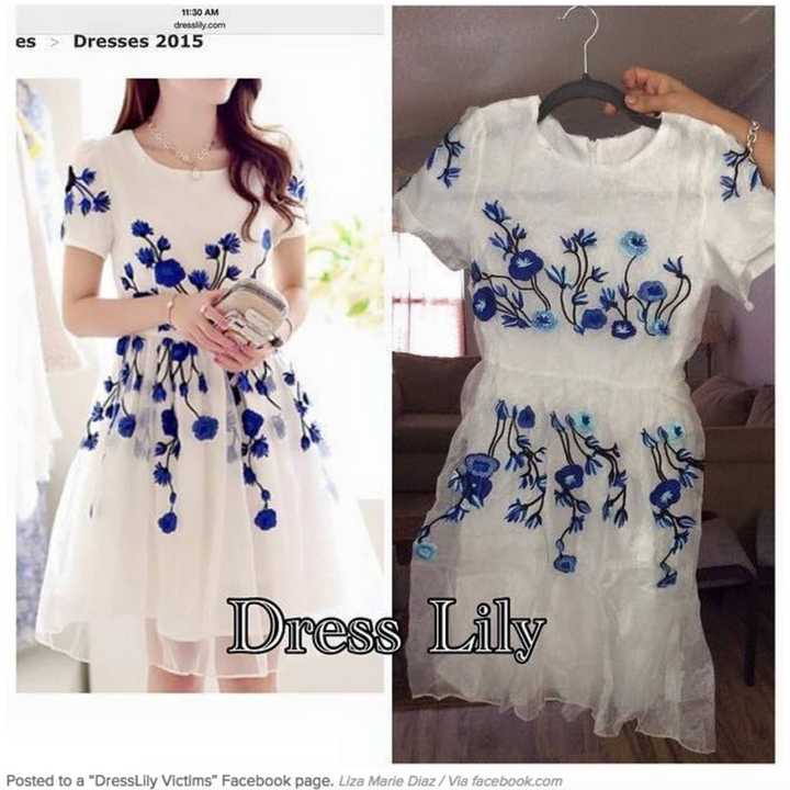 Dresslily complaints 2025