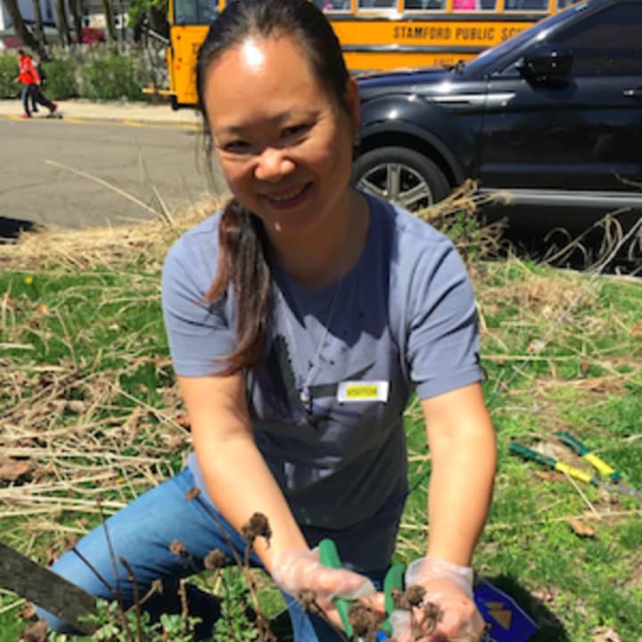 Springale Elementary School parent Yu Lian Thompson volunteers to help work on the school grounds during an Earth Month activity on Wednesday.