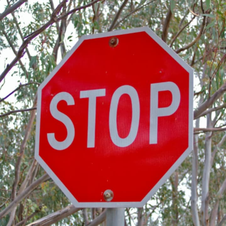 Lodi has added eight new stop signs across the borough
