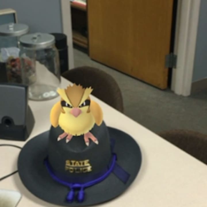 Connecticut State police offered a few tips for all of the crazed Pokemon Go players.