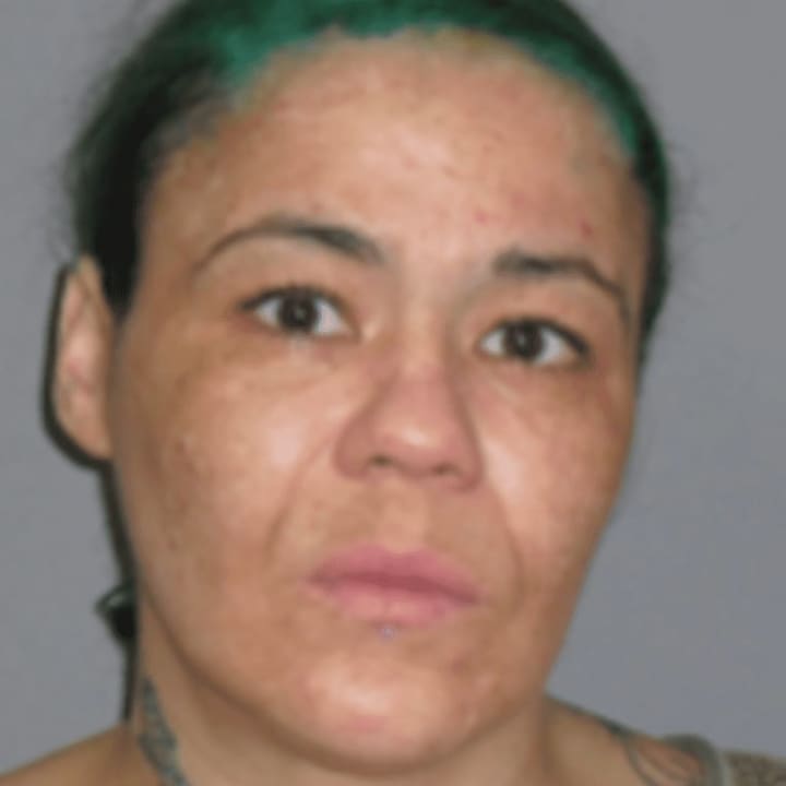 Nicole Doble, 37, of Rhinebeck was charged with first-degree robbery early Monday in Hyde Park in connection with Sunday night&#x27;s holdup of a Citgo gas station on Mill Street.
