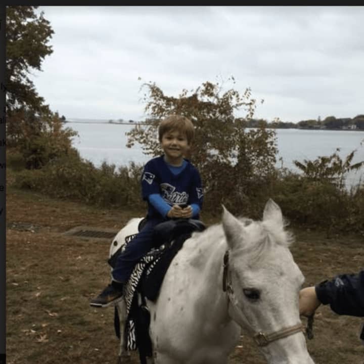A boy takes a pony ride at Holly Pond School&#x27;s Family Fun Day.