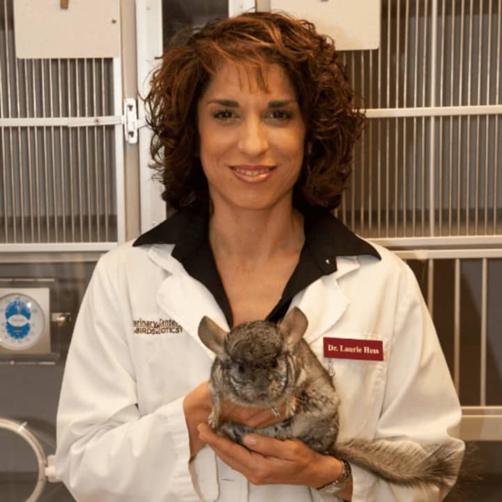 <p>Dr. Laurie Hess</p>