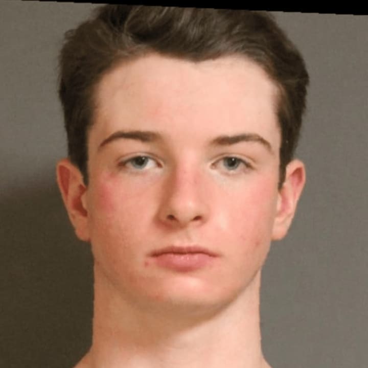 Somers teenager Jeremiah Healy is charged with attempting to burn down a North Salem home.