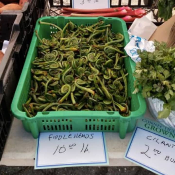 You can even find fiddleheads at the Stratford Farmers Market.