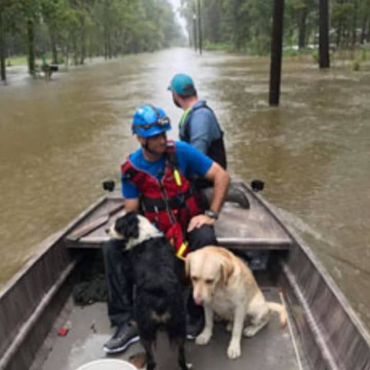 Pet Rescue in Larchmont is assisting animals stranded by Hurricane Harvey.