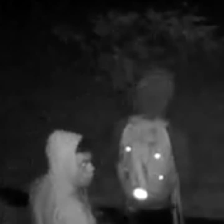 The Stamford Police Department is seeking to identify these two suspects in a burglary.