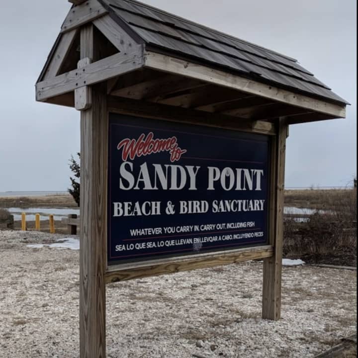An arrest has been made after a small dog was found burned to death in the parking lot of Sandy Point Beach.