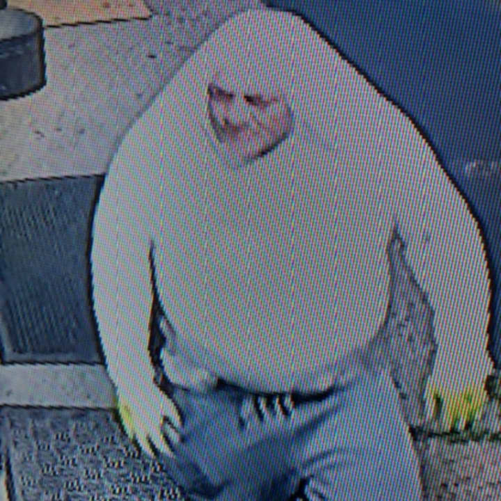 Police are on the lookout for a man suspected of smashing the front glass door of Gorgeous Salon in West Islip (777 Udall Road) and taking a cash register on Sunday, Aug. 11 around 4:30 a.m.