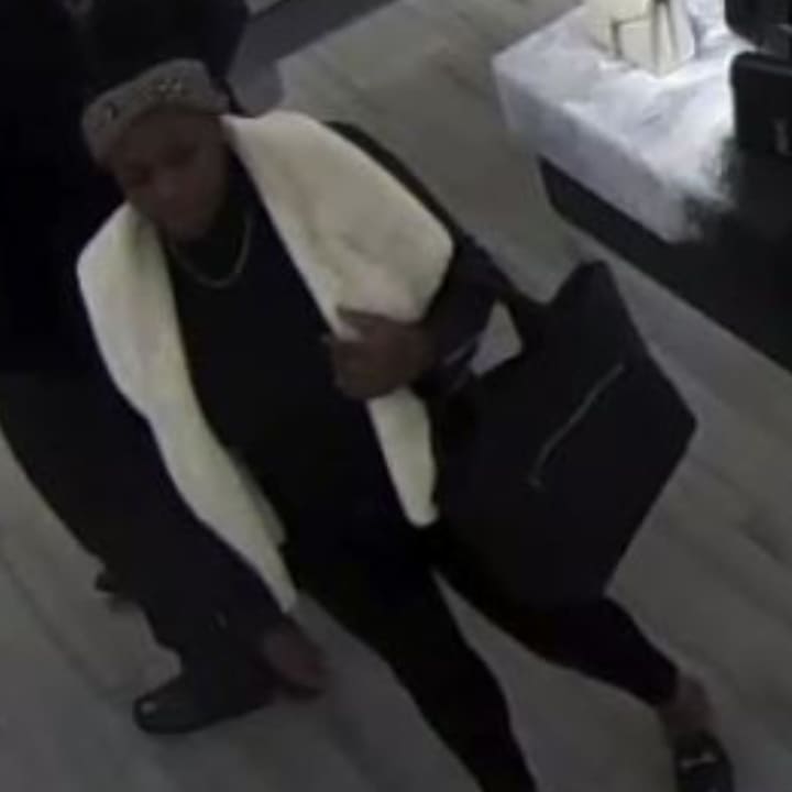 Two women are wanted for stealing a designer purse from the Walt Whitman Shops on Long Island.