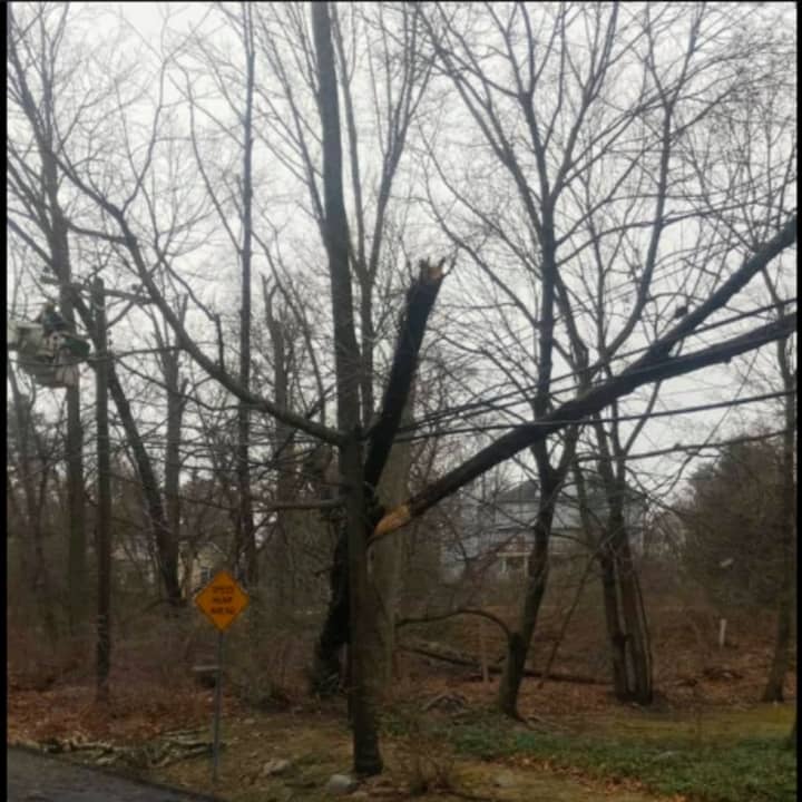 This downed tree limb in Rockland County is causing a power outage and road closure Friday afternoon, Feb. 7 on Mayer Drive in the Village of Montebello.