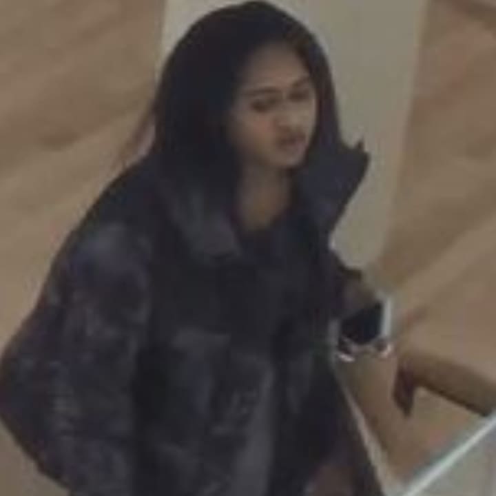 Two women are wanted for allegedly stealing items from the Louis Vuitton store at Saks Fifth Avenue in Huntington Station.