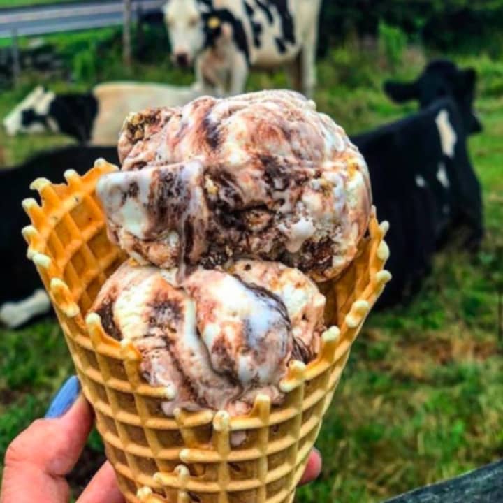 Enjoy ice cream while watching the cows at Ferris Acres in Newtown.