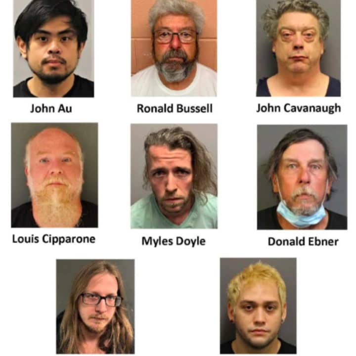 Eight men were arrested on child pornography charges in Burlington County as part of &quot;Operation Safe Quarantine,&quot; with federal assistance from the Department of Homeland Security.