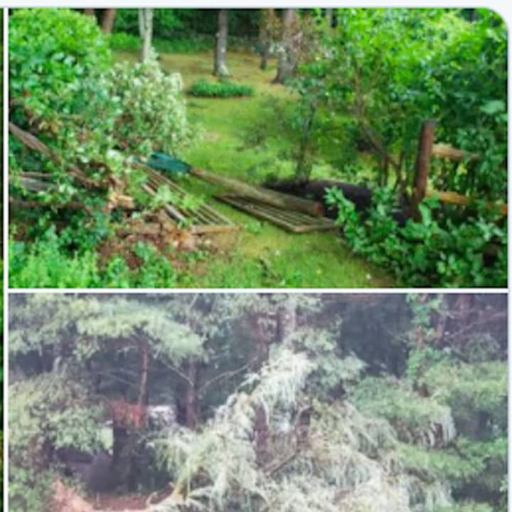 In Norfolk, located in northwestern Connecticut near the Massachusetts border, damage was severe.