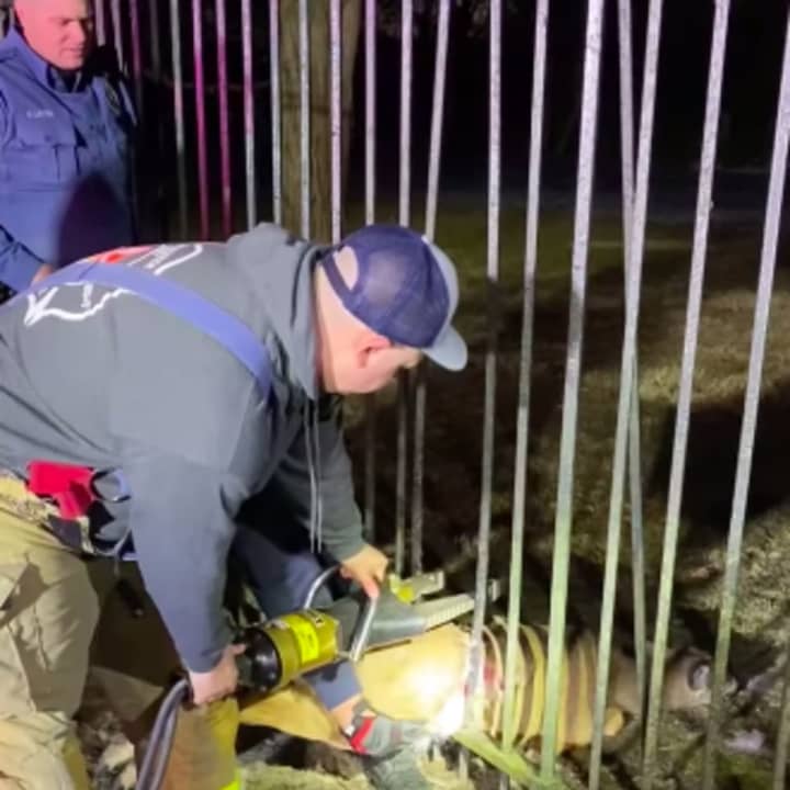 Mantua firefighters and police came to the rescue of a trapped deer.