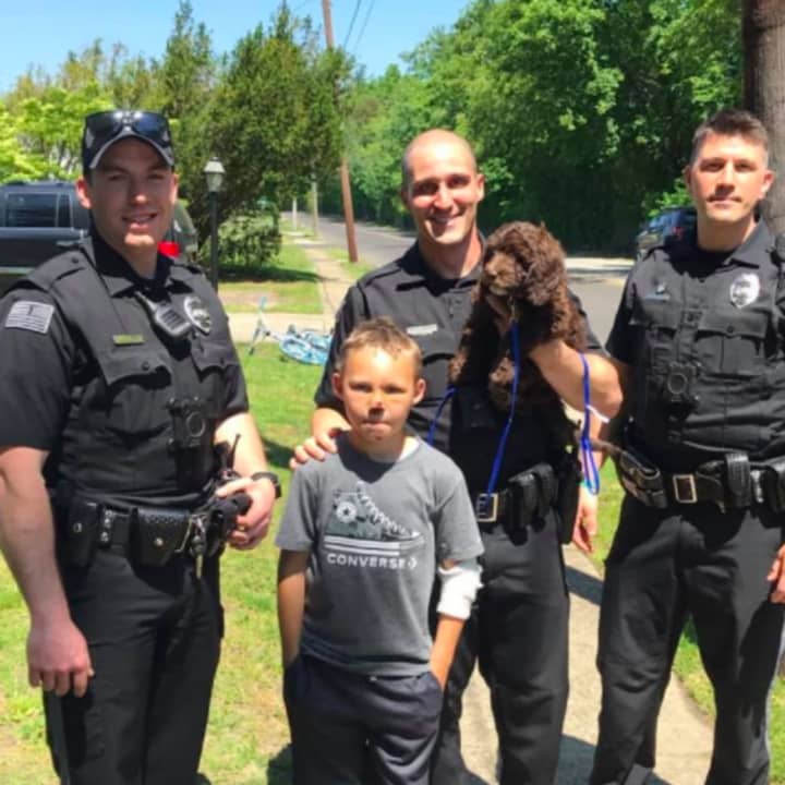 Hit-and-run survivor Tucker gets a get-well visit from K-9 Echo of the Waterford Police Department.