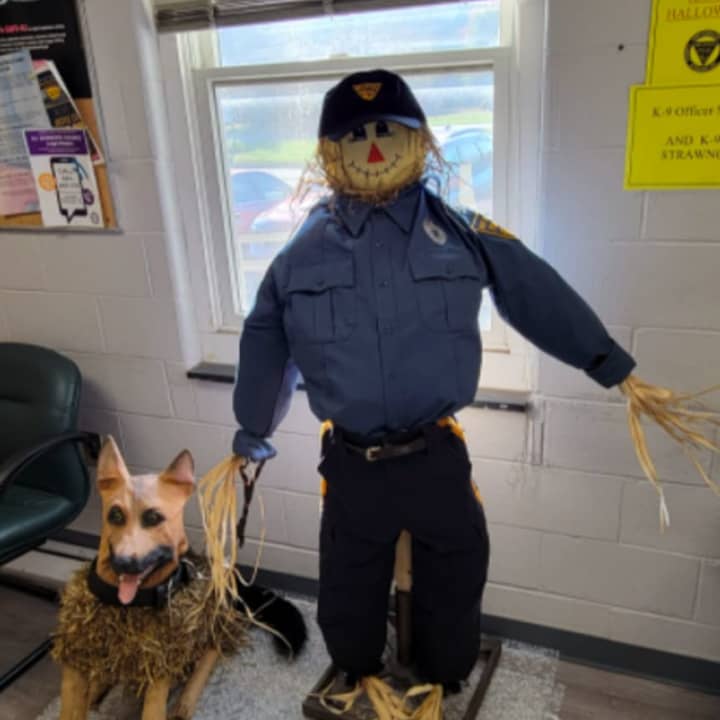 Boo! K-9 Officer Stanley and his partner, K-9 Strawng are guarding the West Deptford Police Department lobby this Halloween season.