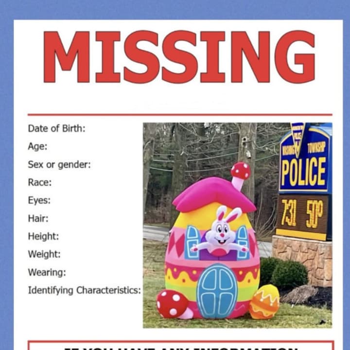 Peter Cottontail went missing on Sunday, March 24 outside Washington Township Police Headquarters.