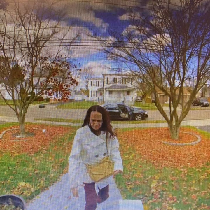 Pictured here is a woman suspected of stealing packages from porches on Nov. 19,