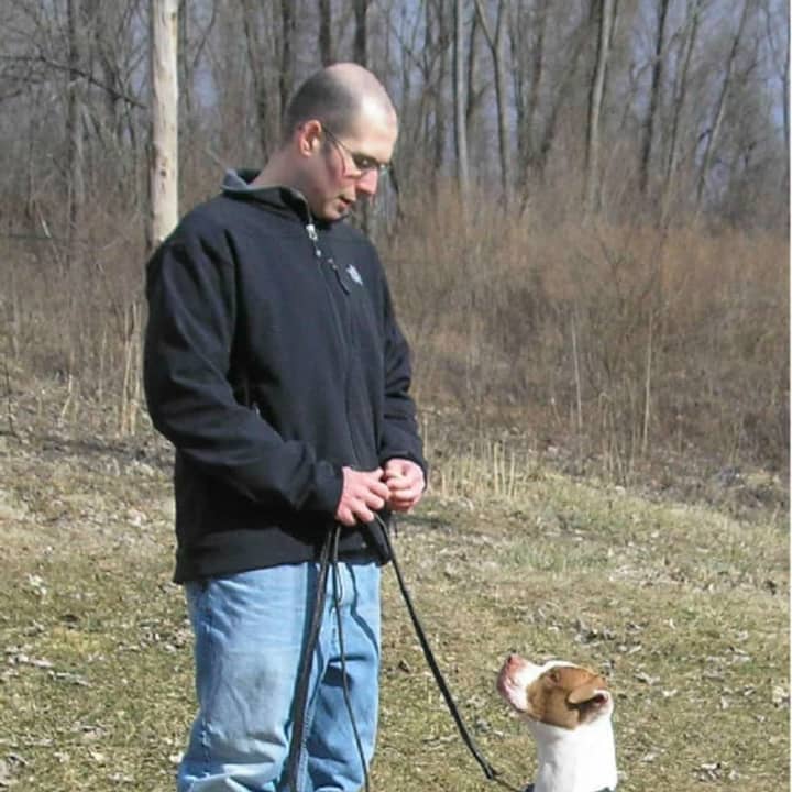 Somers dog trainer Steve Reid offers tips for National Dog Week.