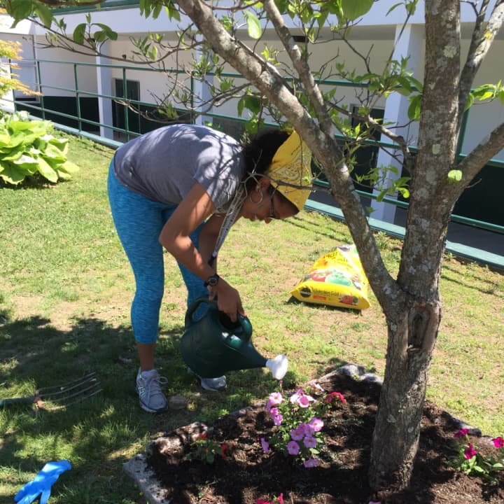 Samantha Simpson volunteers to beautify the community via gardening